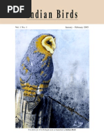 Download IB11Final by shobanasri SN92983932 doc pdf