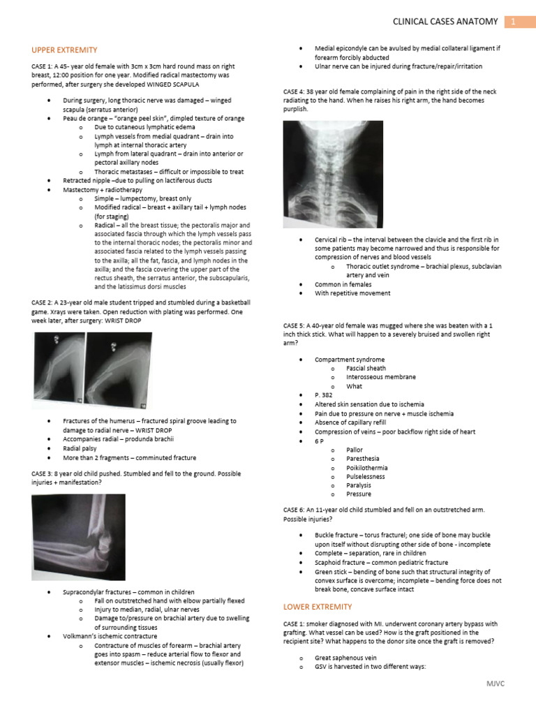 Clinical Cases in Upper and Lower Extremity Anatomy | PDF | Stomach ...