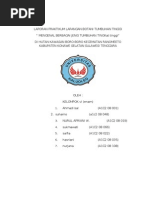 Download Laporan Praktikum Lapangan Morfologi Tumbuhan by Nurul Apriani Wulandari Wahid SN92984864 doc pdf