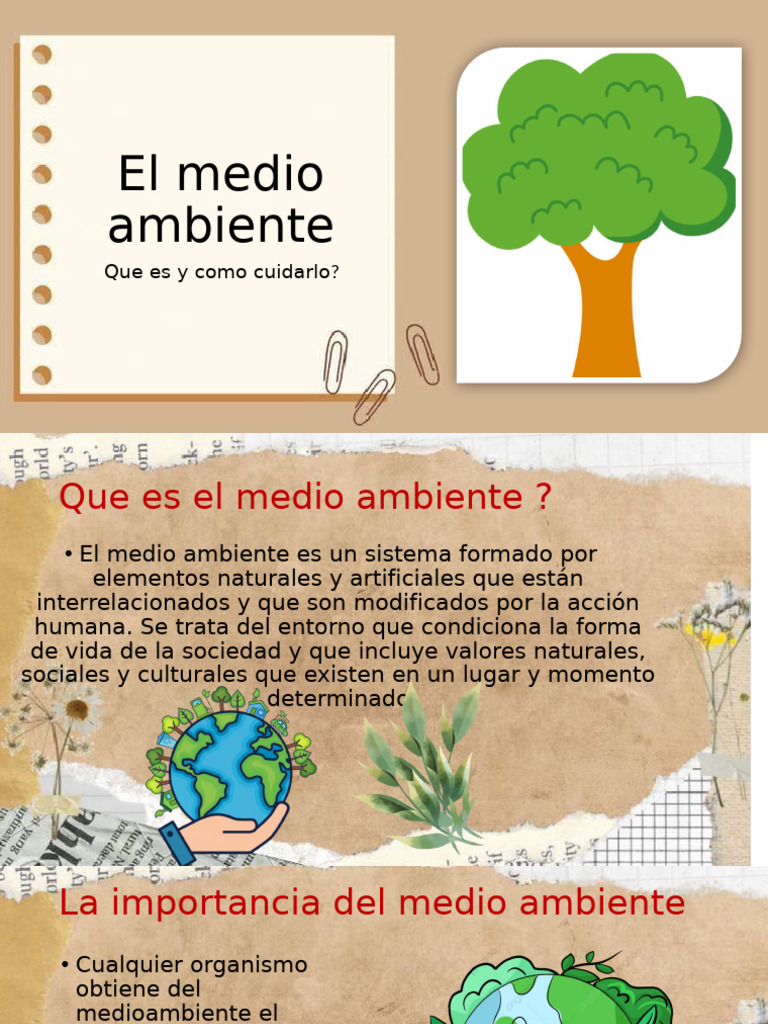 Cuidado y conservación del medio ambiente | PDF | Entorno natural ...