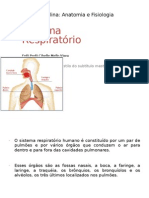 SISTEMA RESPITORIO