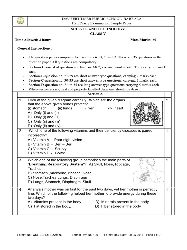 Class V Science Half Yearly Exam Paper | PDF | Foods | Seed