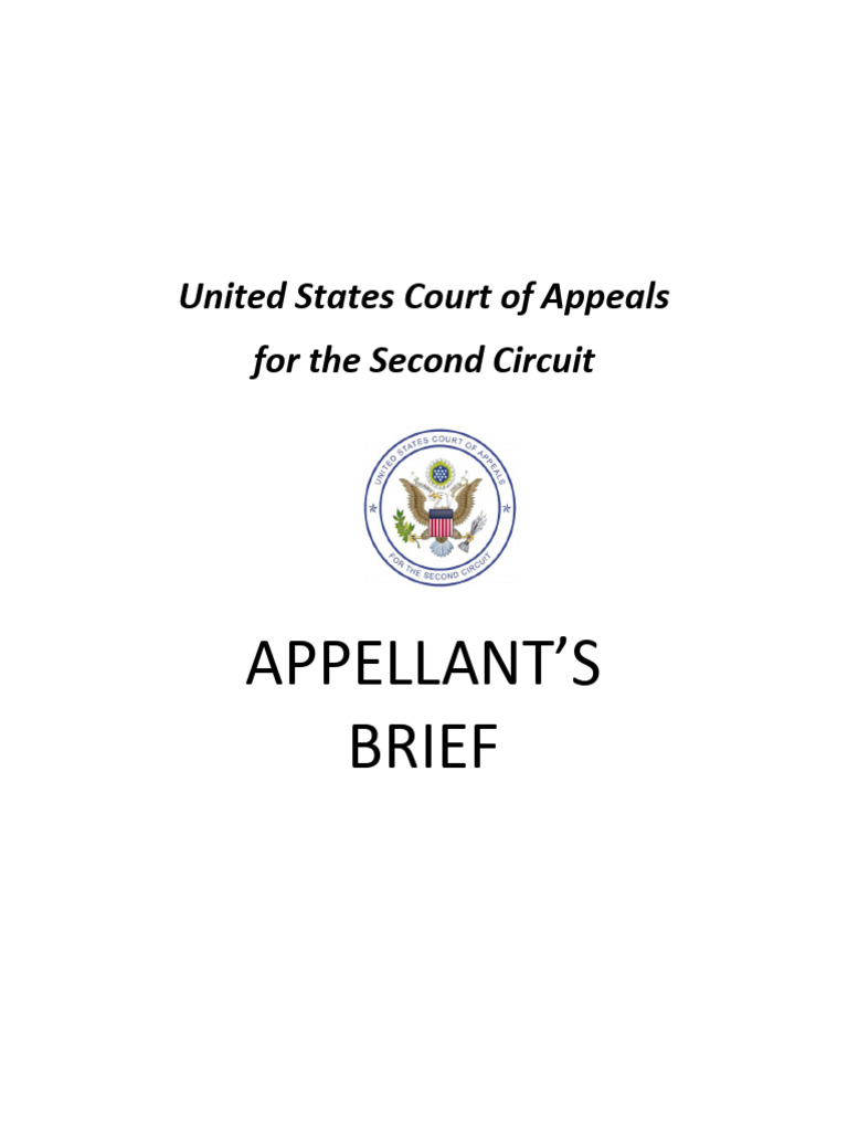 Appellant's Brief Overview | PDF