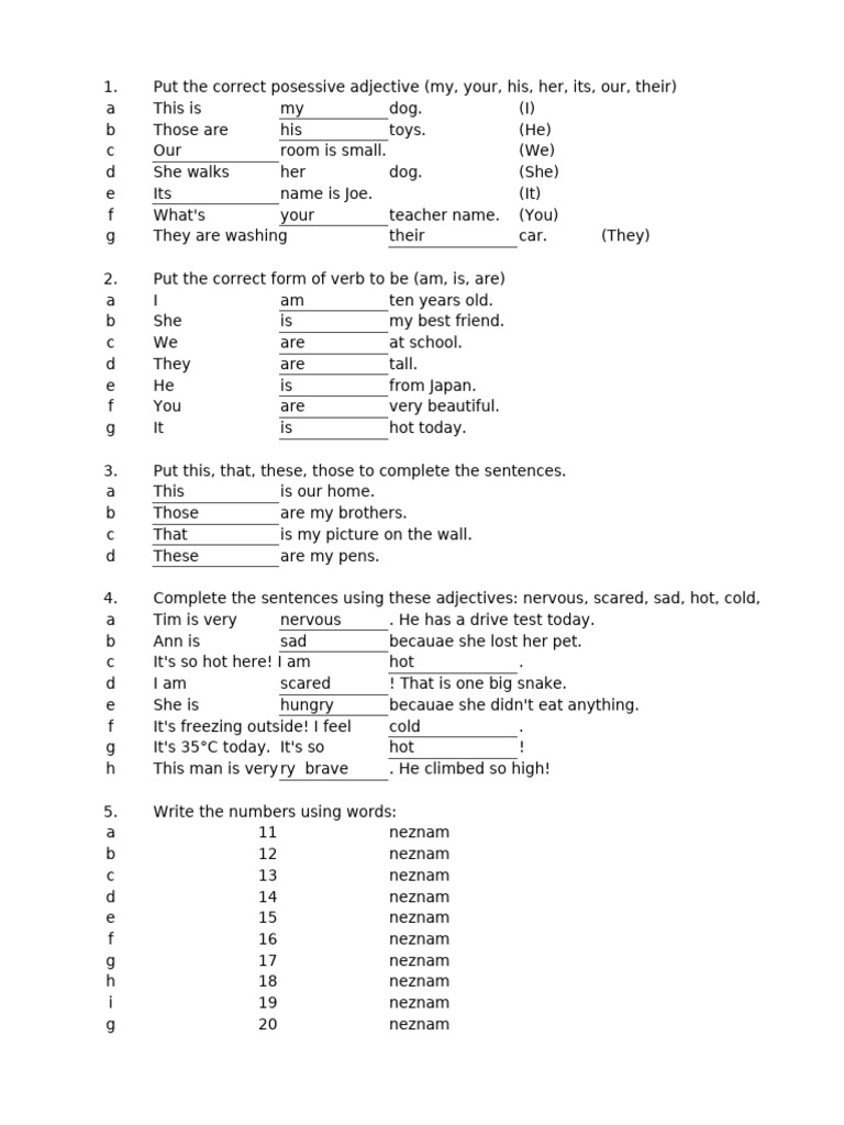 English Grammar Exercises for Beginners | PDF