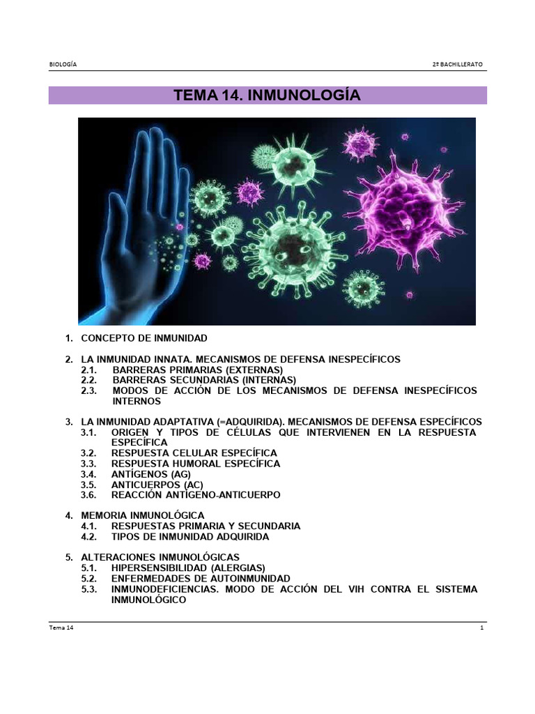 Inmunología: Mecanismos de Defensa Inmunitaria | PDF | Sistema inmune ...