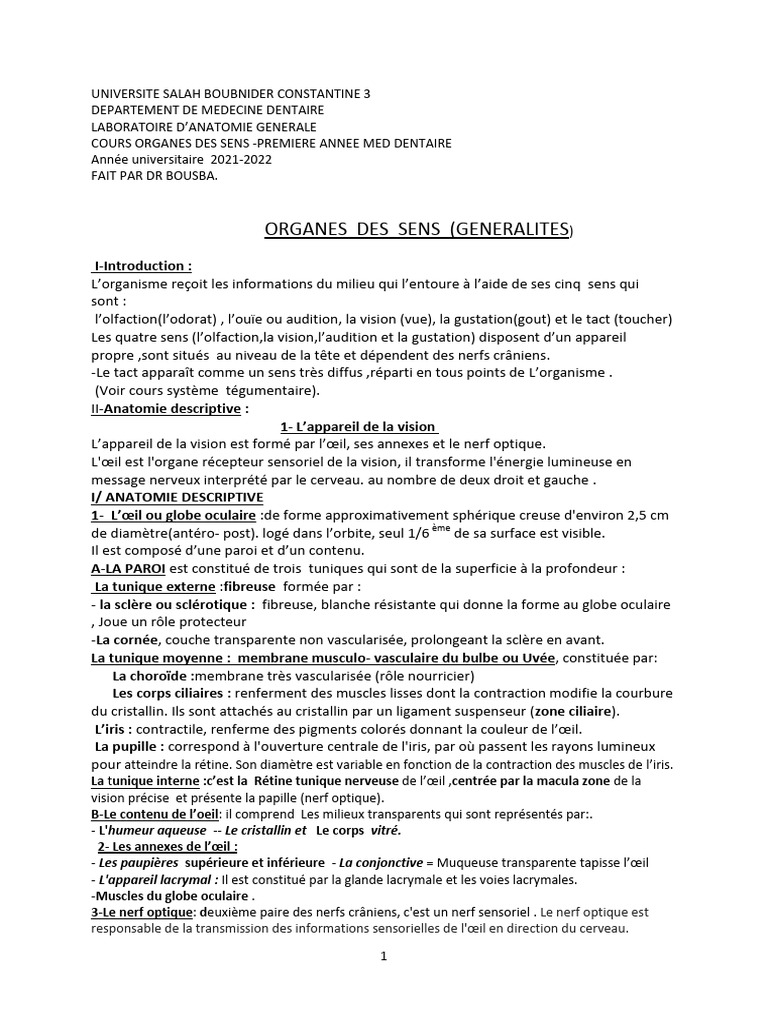 Anatomie des Organes des Sens | PDF | Langue | Oreille