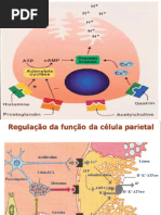 Uso e Posologia do Pylera | PDF | Especialidades médicas | Medicina Clínica