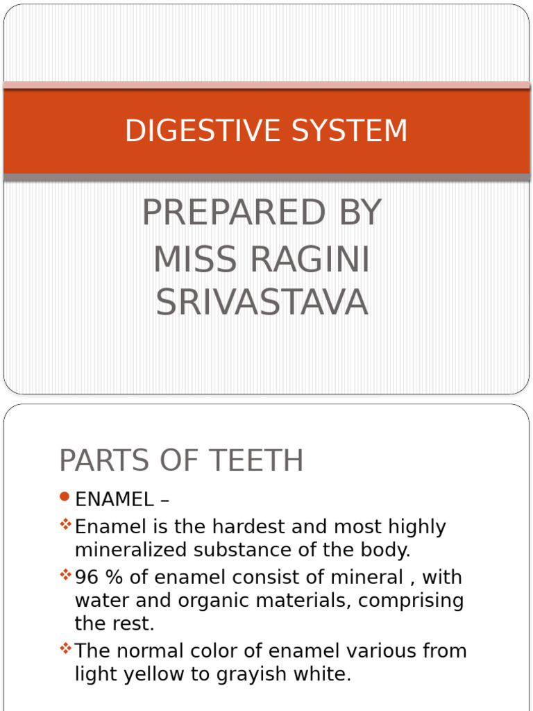 Parts of Teeth | PDF