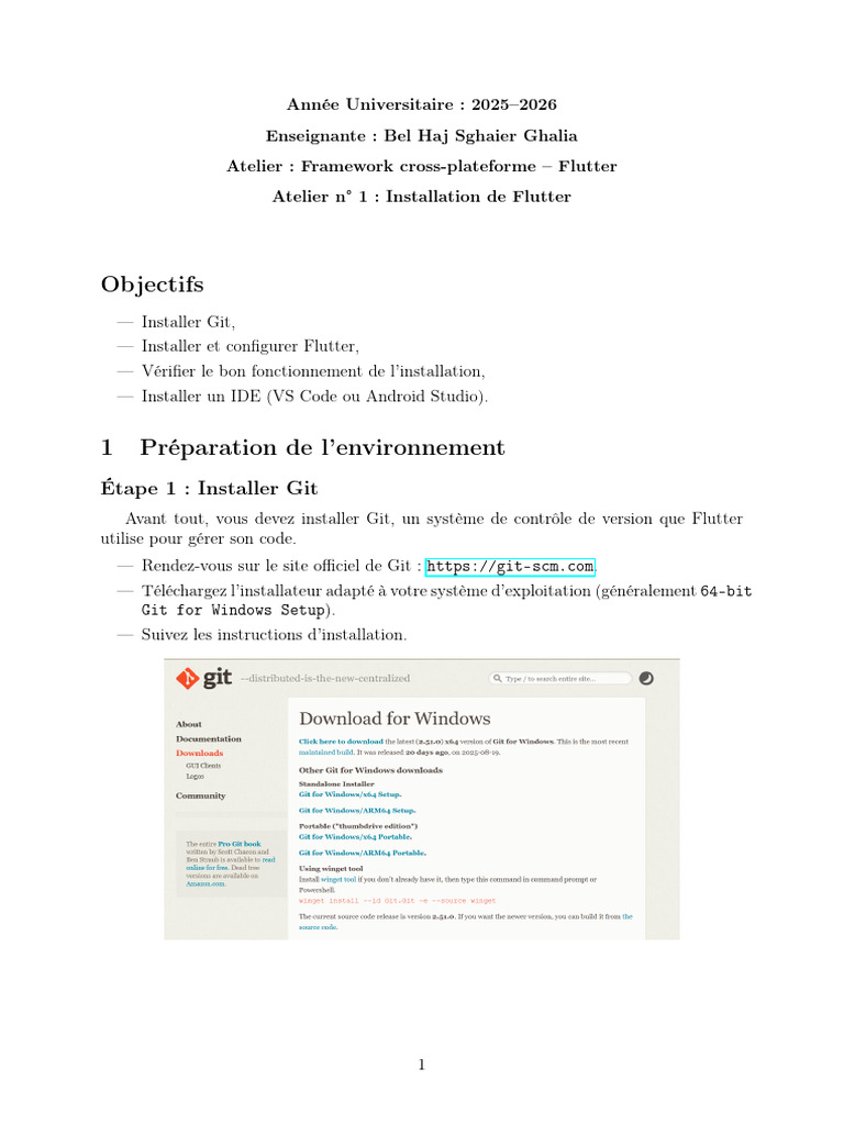 Installation de Flutter et Git sous Windows | PDF | Développement de ...