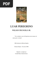 Luar Peregrino (Wilson Frungilo Júnior)