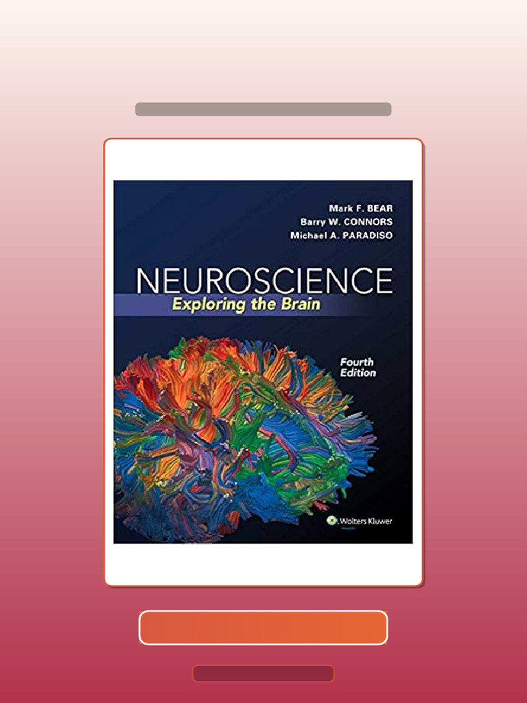 Neuroscience Exploring the Brain 4th Edition by Mark F Bear Barry W ...