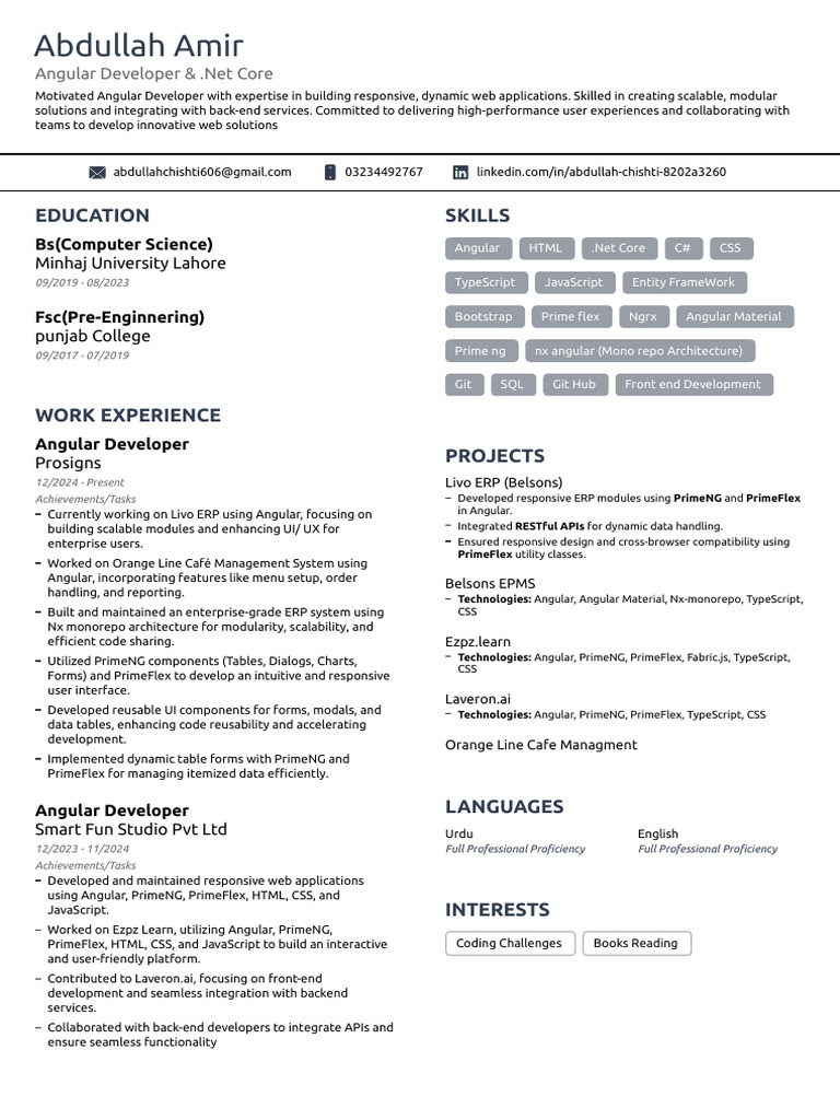Angular Developer Abdullah Amir Profile | PDF | Java Script ...