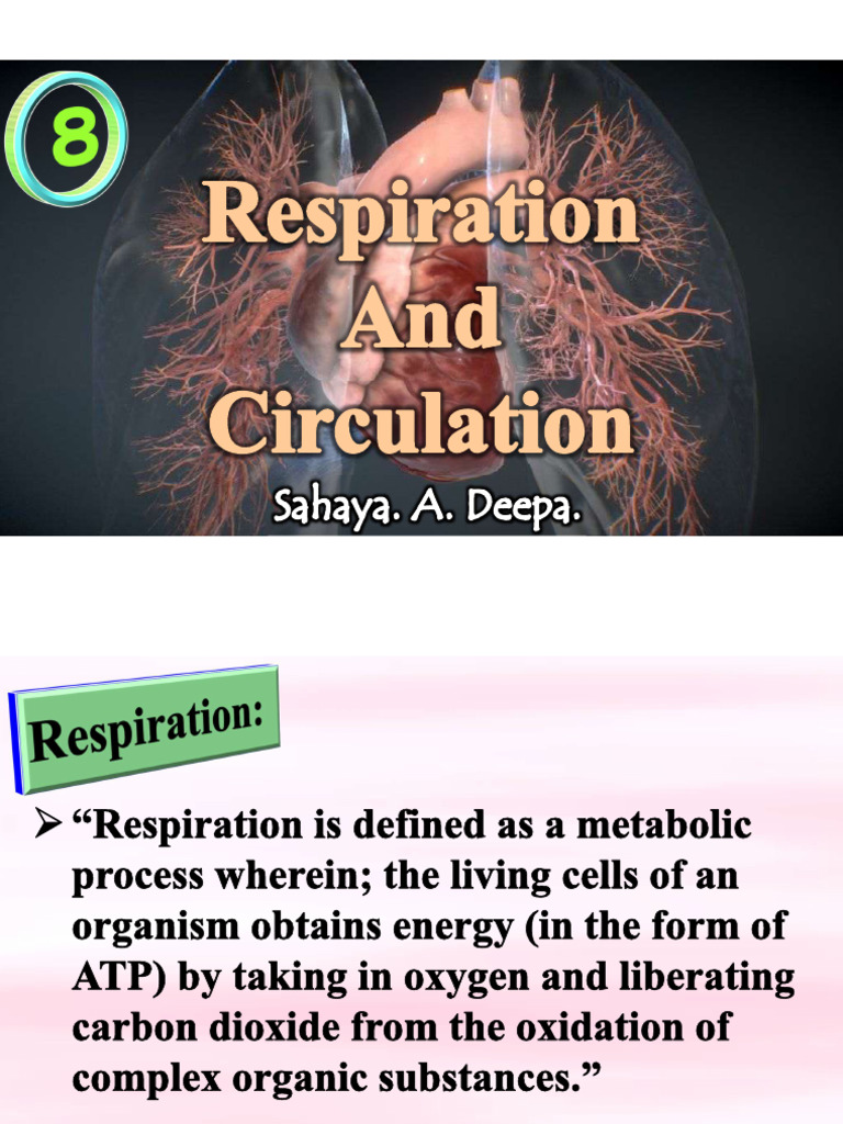 Respiration in Plants and Human. | PDF