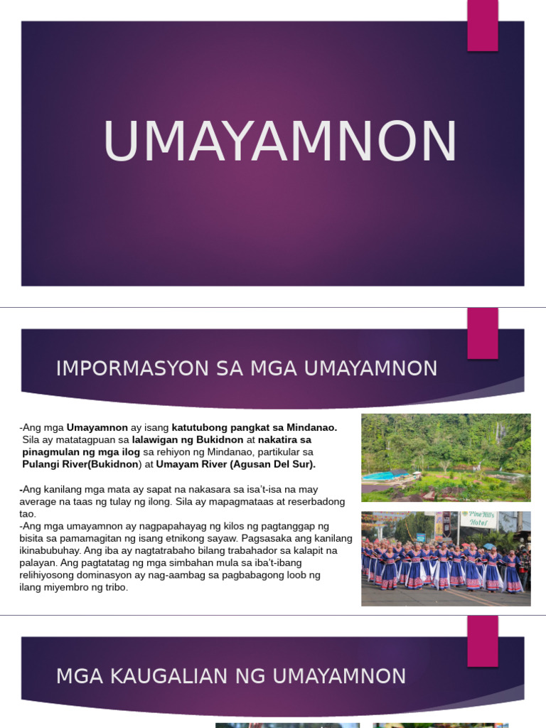 Umay Amnon | PDF