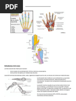 Síndrome de Mano de Simio | PDF