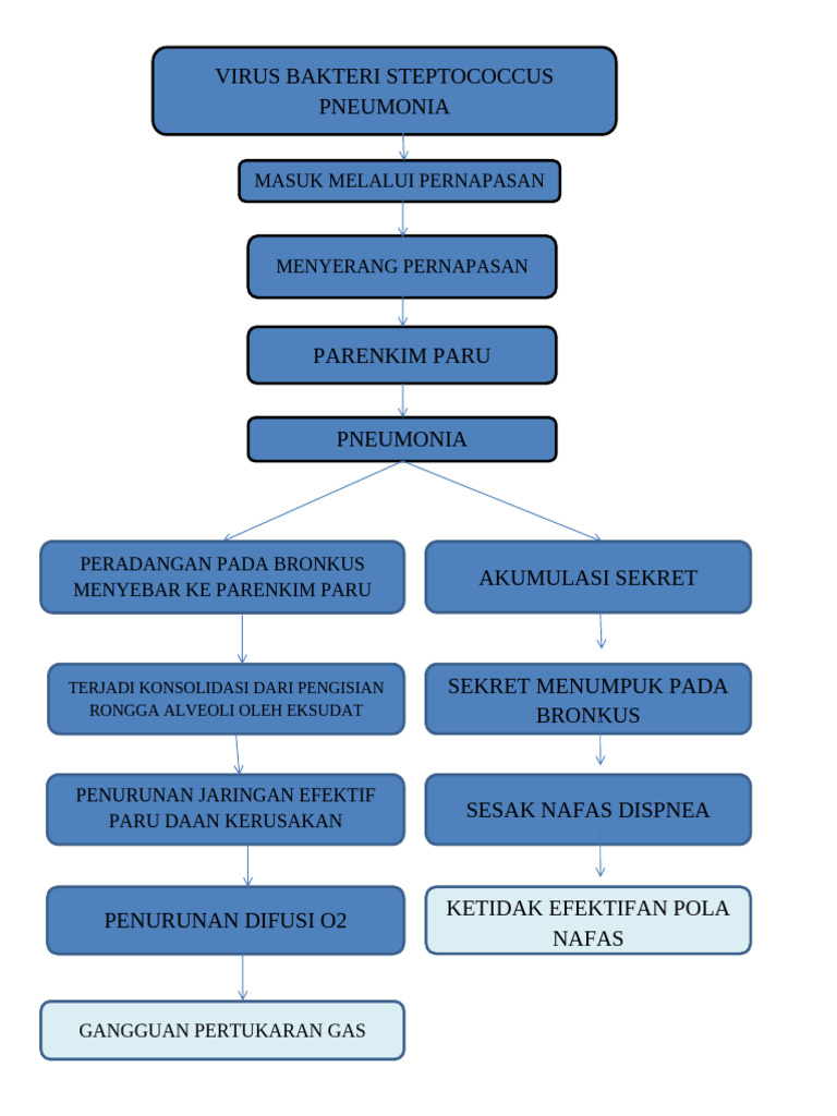 Patways Pneumonia | PDF