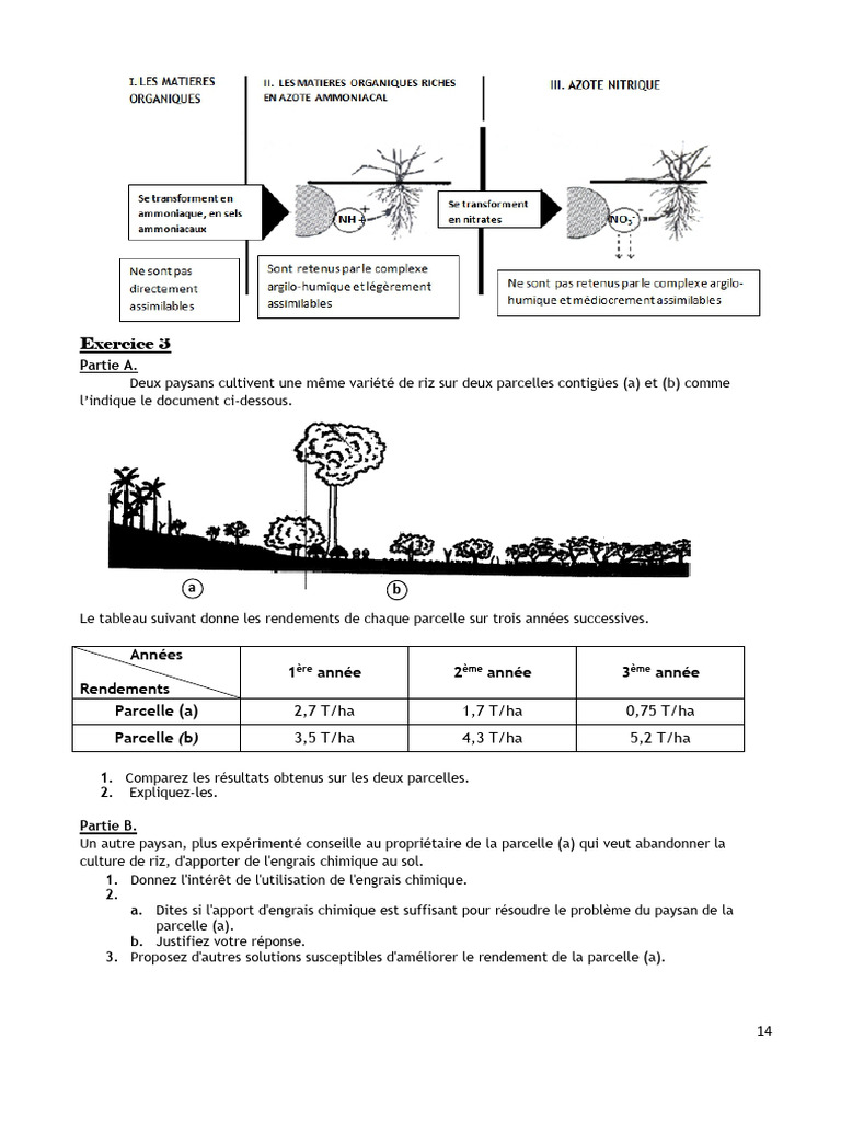 Comparaison des rendements de riz par parcelle | PDF