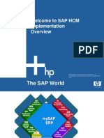 Bil Sap HCM Overview N