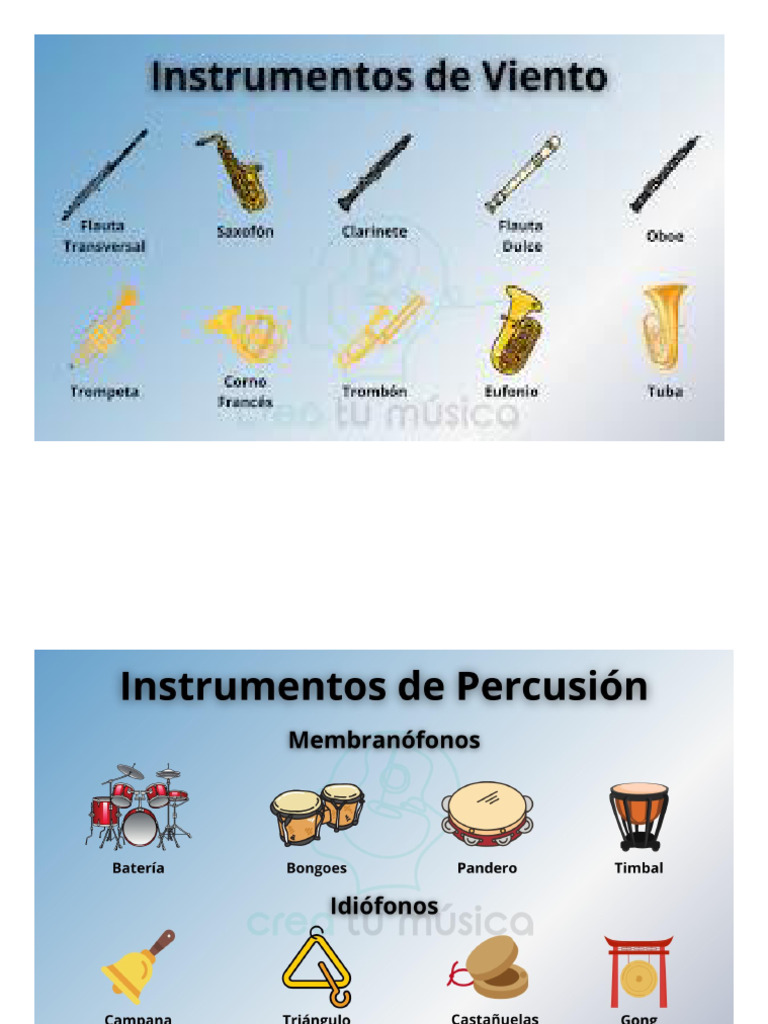 Instrumentos de Cuerda y Percusion | PDF