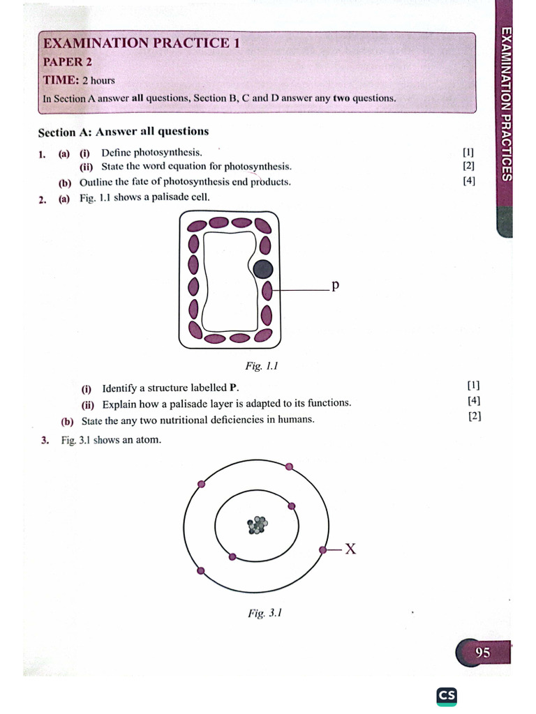 Revision Exercise Combined Science | PDF