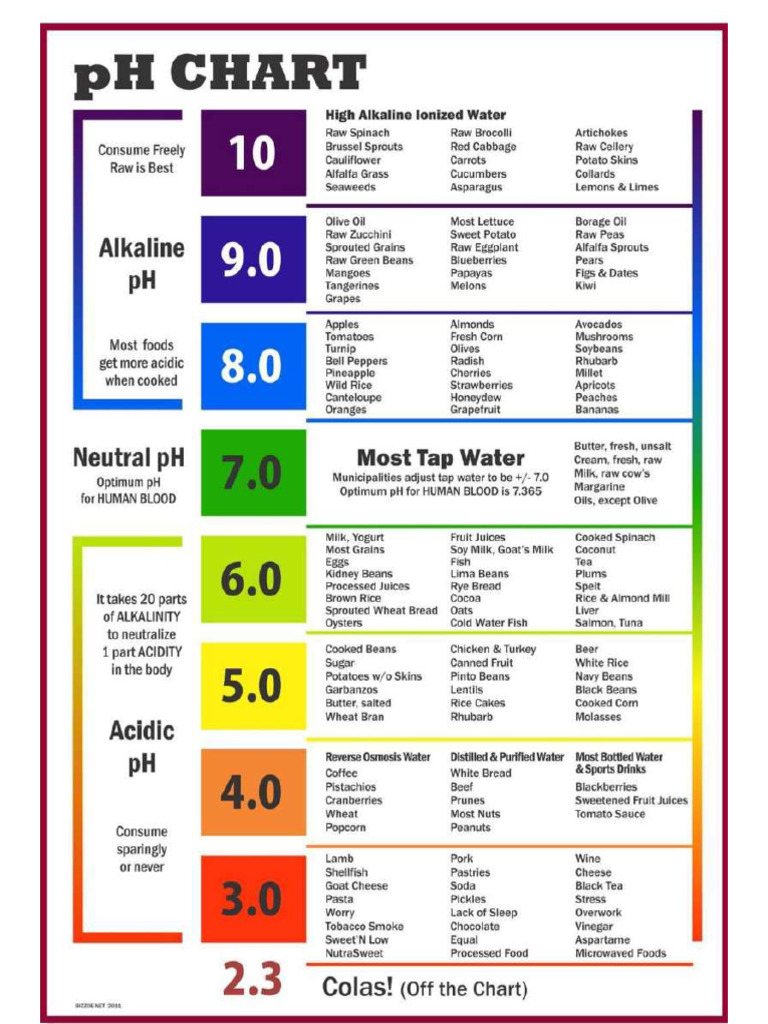 1 PH Food Chart | PDF