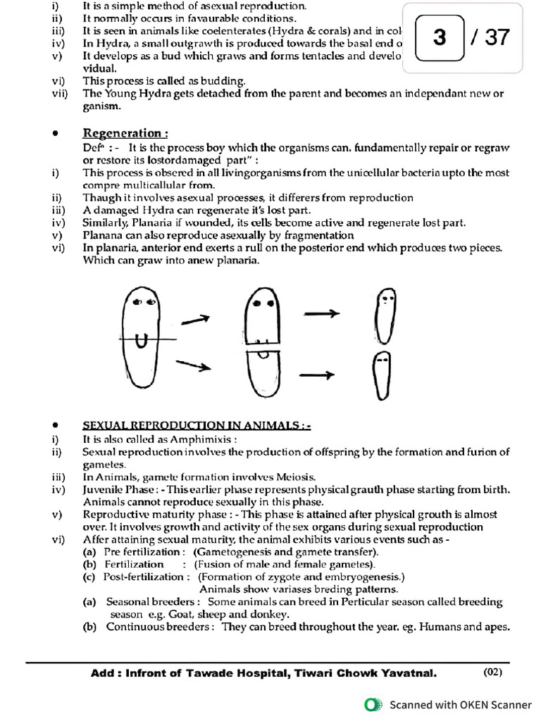 Chapter 2 Reproduction in Lower and Higher Animals Notes | PDF