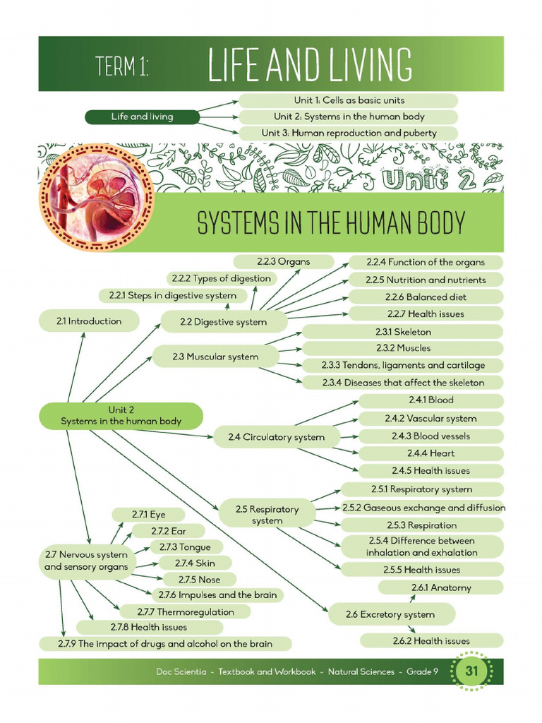 2 Systems in Human Body | PDF