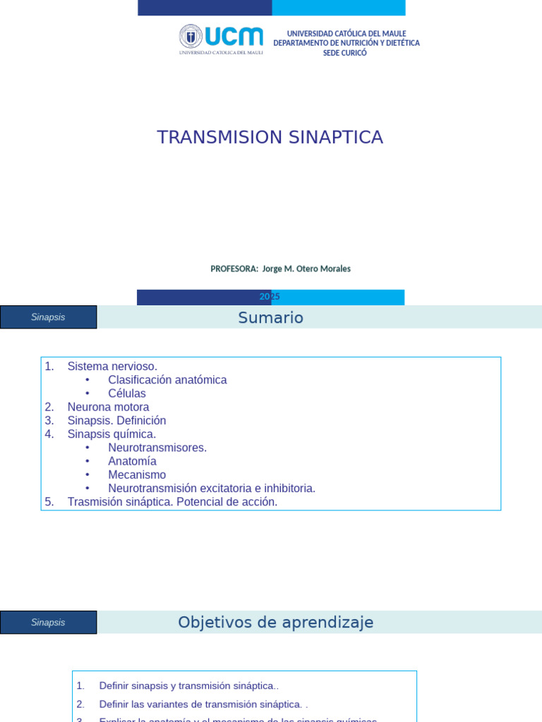 5 Sinapsis_642c101712d8638c620c5691151acd0b | PDF | Sinapsis | Sinapsis ...