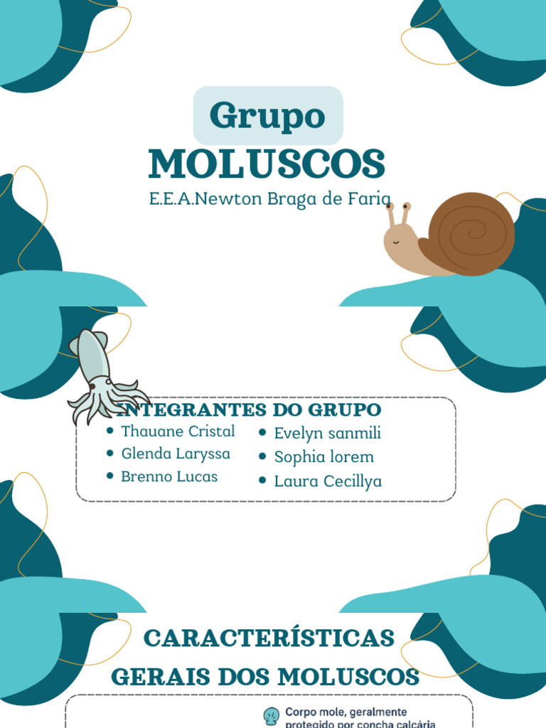 Características e Classificação dos Moluscos | PDF