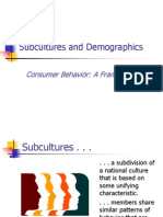 Subcultures and Demographics: Consumer Behavior: A Framework