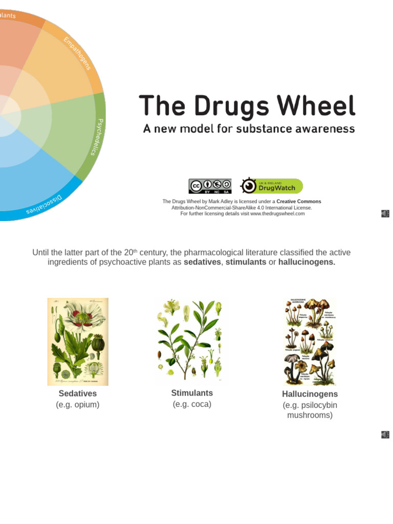 The Drugs Wheel: Classification Guide | PDF | Psychoactive Drugs | Drugs