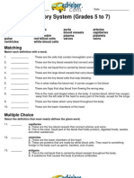 Circulatory System Grades 5 To 7