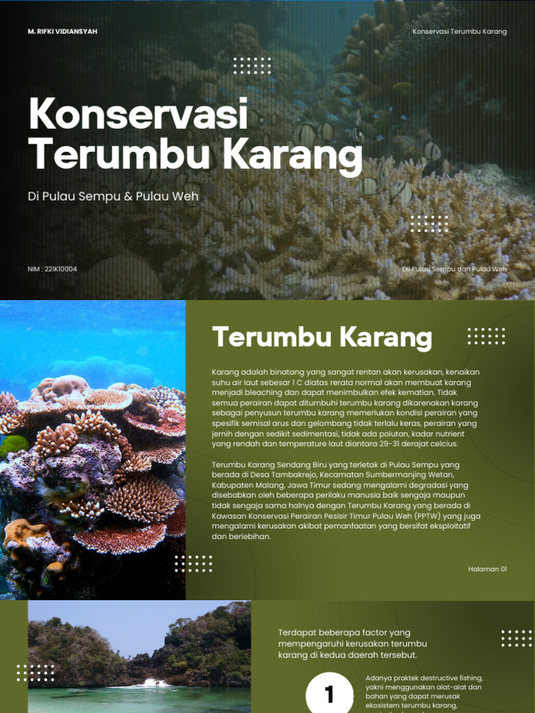 Konservasi Terumbu Karang Sempu & Weh | PDF