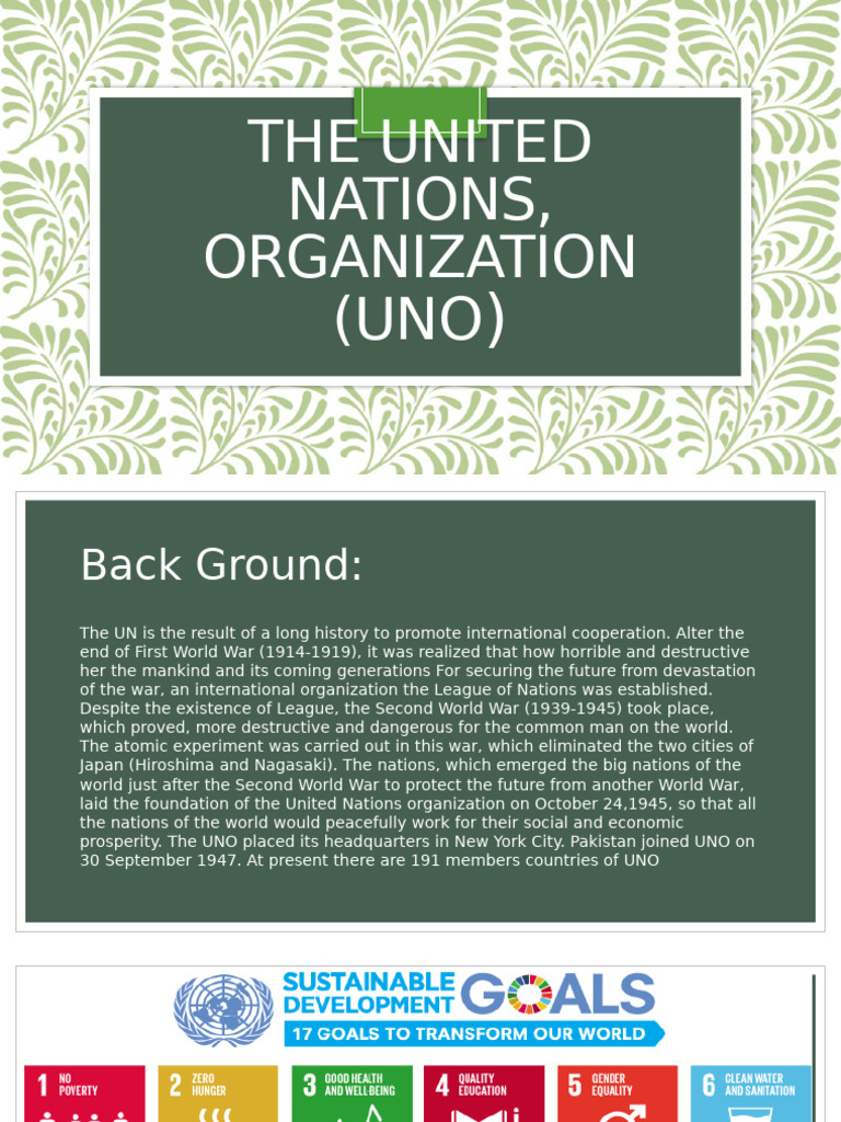 Overview of the United Nations Organization | PDF | Organisation Of ...