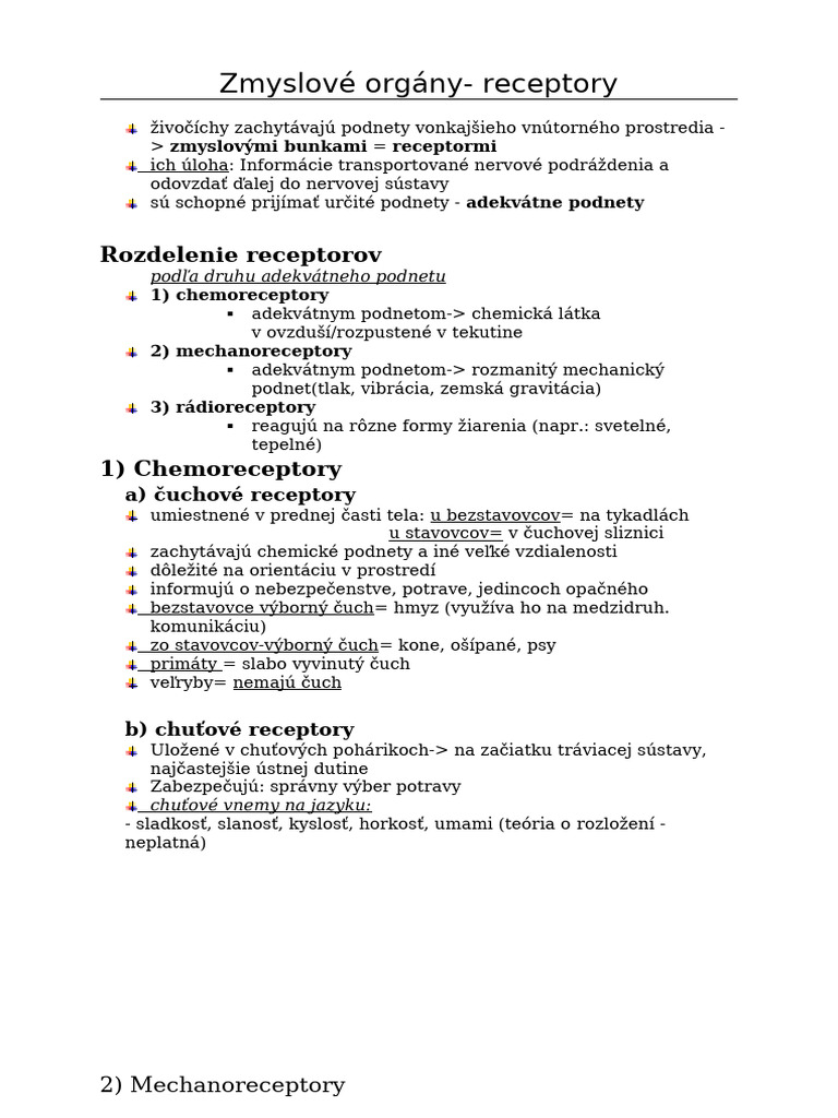 zmyslov-org-ny-pozn-mky-pdf
