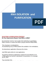 Rna Isolation and Purification