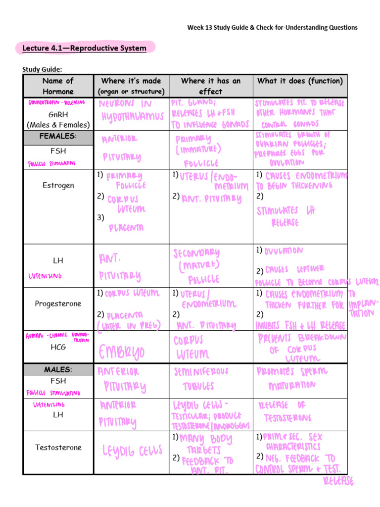 Reproductive System Study Guide | PDF | Ovary | Menstrual Cycle