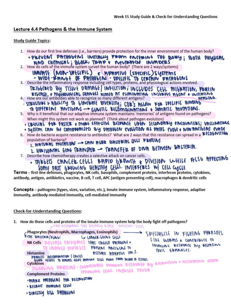 4.4 Check For Understanding | PDF