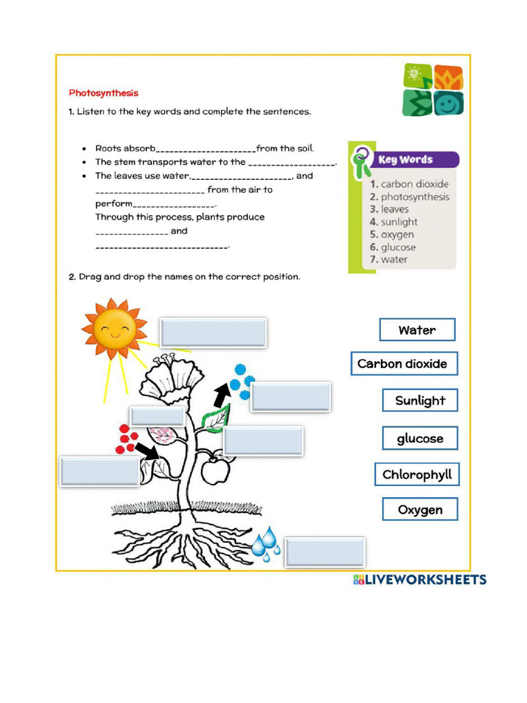 Worksheet 1160667 | PDF