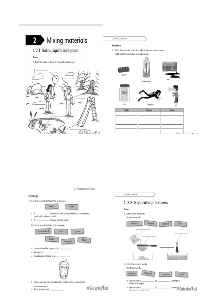 Science Workbook p2 | PDF