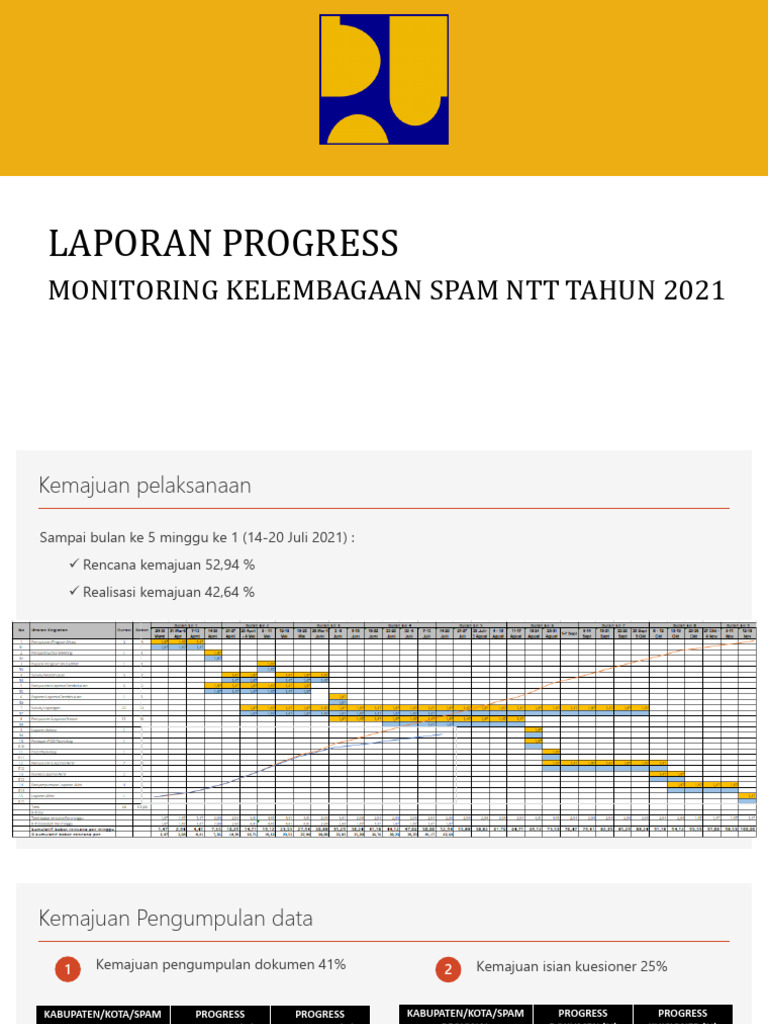Progress Monitoring Kelembagaan SPAM NTT | PDF