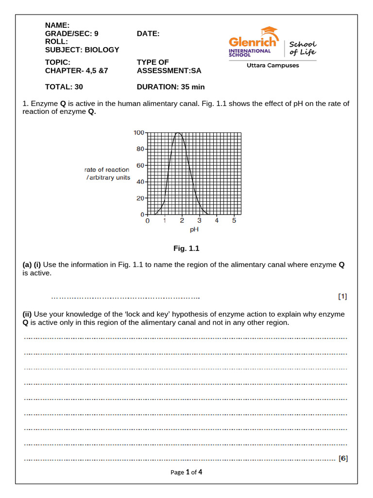 Biology Assessment: Enzymes & Digestion | PDF