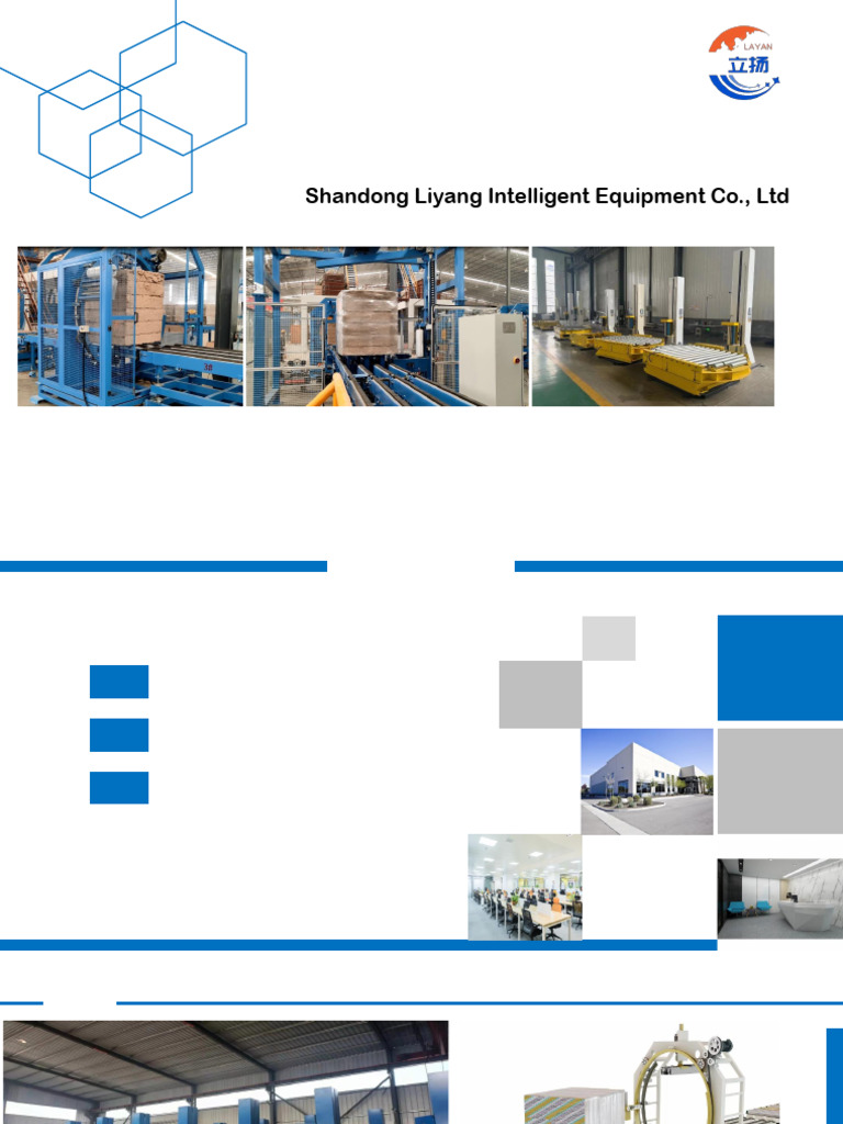Liyang Intelligent Packaging Solutions | PDF | Consumer Goods ...
