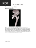 Download The Joint of Human Body by sadaf hussain SN9303667 doc pdf