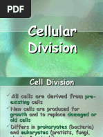 Download Cell Division by Jillian Lao SN9303700 doc pdf