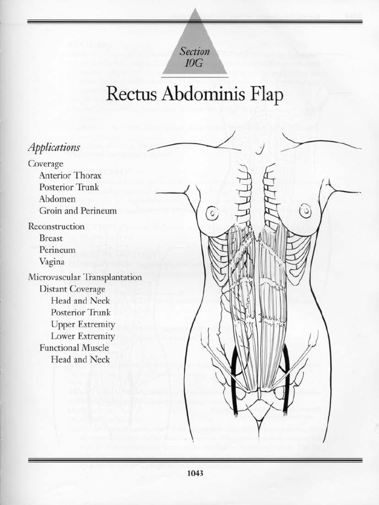 10G - Rectus Abdominis Flap | PDF