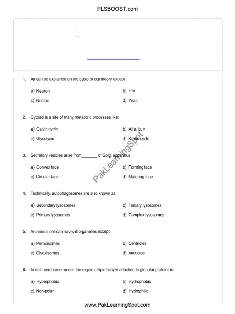 FLP PLS 1 | PDF