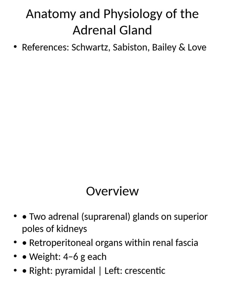 Adrenal Gland Anatomy and Functions | PDF