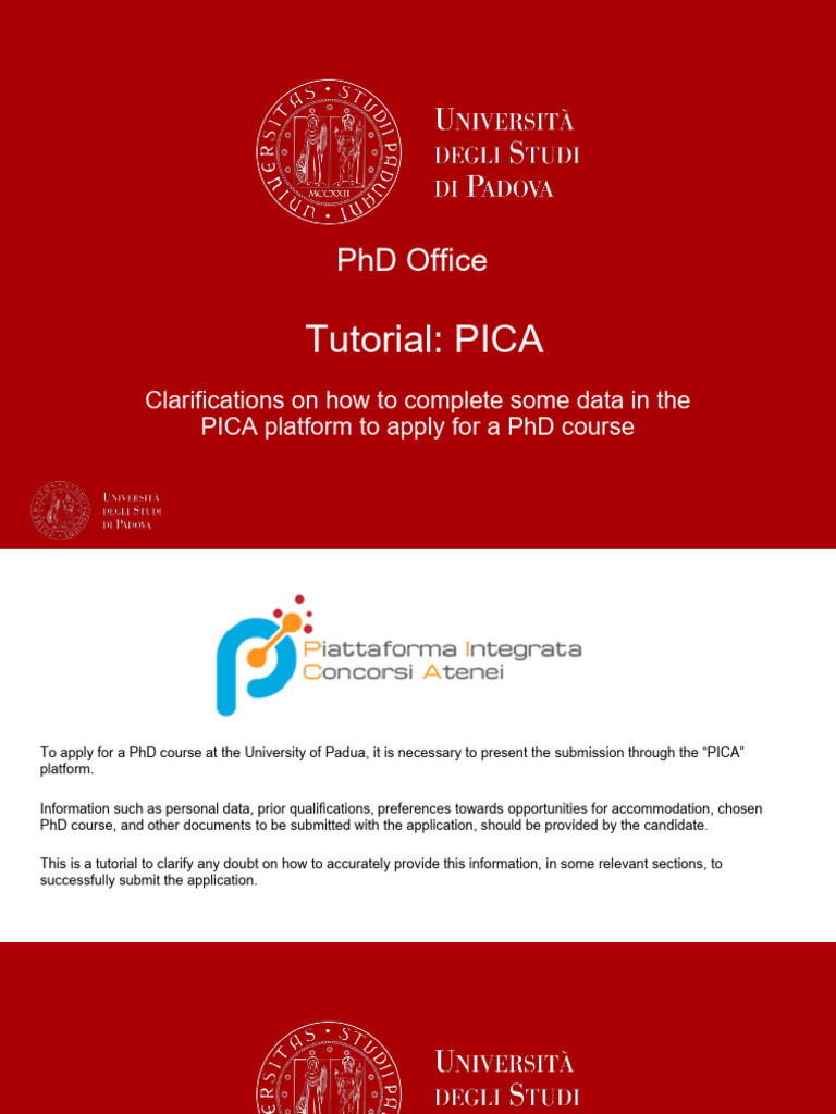 PICA Application Guide for PhD Candidates | PDF | Doctor Of Philosophy ...