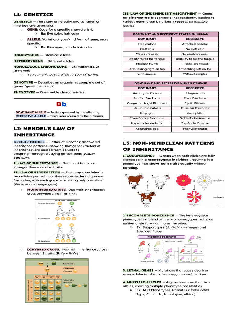 Genetics and Inheritance Patterns Explained | PDF | Dominance (Genetics ...